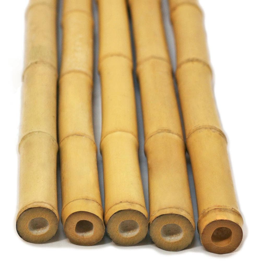 Bamboo Rods to Support Schach Mat on the Sukkah